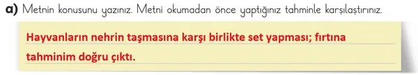 3. Sınıf Türkçe Ders Kitabı Sayfa 126 Cevapları 1. Kitap