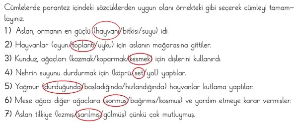 3. Sınıf Türkçe Ders Kitabı Sayfa 128 Cevapları 1. Kitap