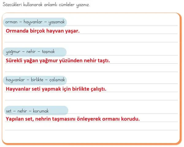 3. Sınıf Türkçe Ders Kitabı Sayfa 128 Cevapları 1. Kitap