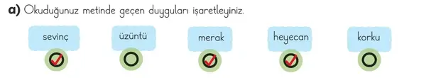 3. Sınıf Türkçe Ders Kitabı Sayfa 133 Cevapları 1. Kitap
