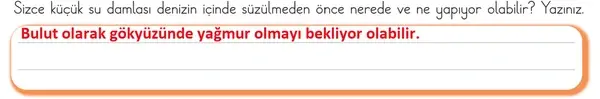 3. Sınıf Türkçe Ders Kitabı Sayfa 133 Cevapları 1. Kitap