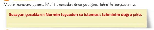 3. Sınıf Türkçe Ders Kitabı Sayfa 43 Cevapları 1. Kitap