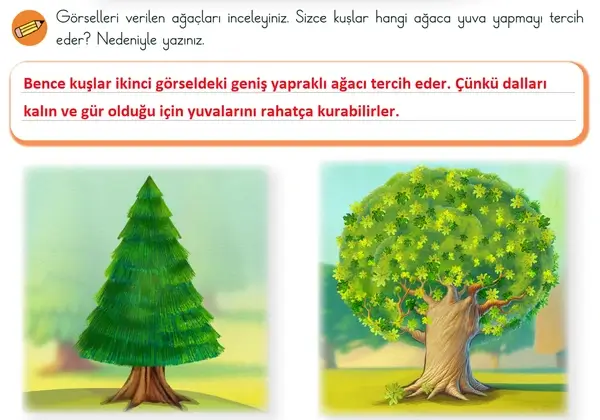 3. Sınıf Türkçe Ders Kitabı Sayfa 45-46-47-48 Cevapları 1. Kitap