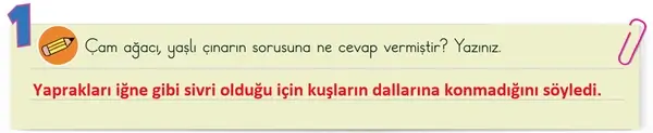 3. Sınıf Türkçe Ders Kitabı Sayfa 46 Cevapları 1. Kitap 3. Sınıf Türkçe Ders Kitabı Sayfa 46 Cevapları 1. Kitap