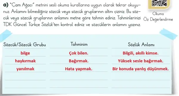 3. Sınıf Türkçe Ders Kitabı Sayfa 49-50-51-52 Cevapları 1. Kitap