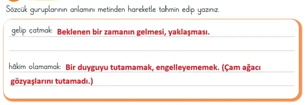 3. Sınıf Türkçe Ders Kitabı Sayfa 49 Cevapları 1. Kitap 3. Sınıf Türkçe Ders Kitabı Sayfa 49 Cevapları 1. Kitap