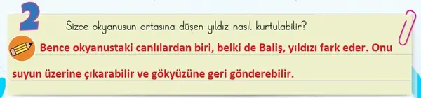 3. Sınıf Türkçe Ders Kitabı Sayfa 45 Cevapları 2. Kitap