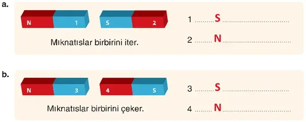 4. Sınıf Fen Bilimleri Ders Kitabı Sayfa 111 Cevapları