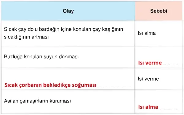4. Sınıf Fen Bilimleri Ders Kitabı Sayfa 177 Cevapları 4. Sınıf Fen Bilimleri Ders Kitabı Sayfa 177 Cevapları