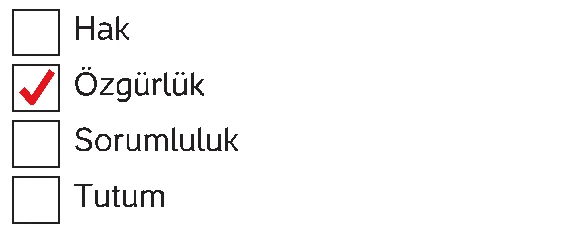 4. Sınıf İnsan Hakları Ders Kitabı Sayfa 19 Cevapları