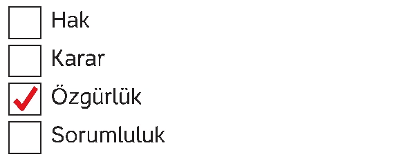 4. Sınıf İnsan Hakları Ders Kitabı Sayfa 40 Cevapları