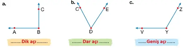 4. Sınıf Matematik Ders Kitabı Sayfa 219 Cevapları