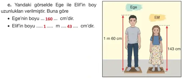 4. Sınıf Matematik Ders Kitabı Sayfa 238 Cevapları