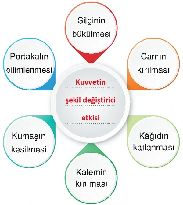 4. Sınıf Fen Bilimleri Ders Kitabı Sayfa 114-115-116-117 Cevapları