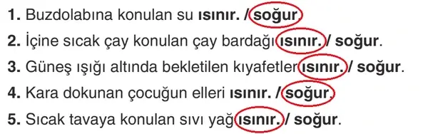 4. Sınıf Fen Bilimleri Ders Kitabı Sayfa 158 Cevapları