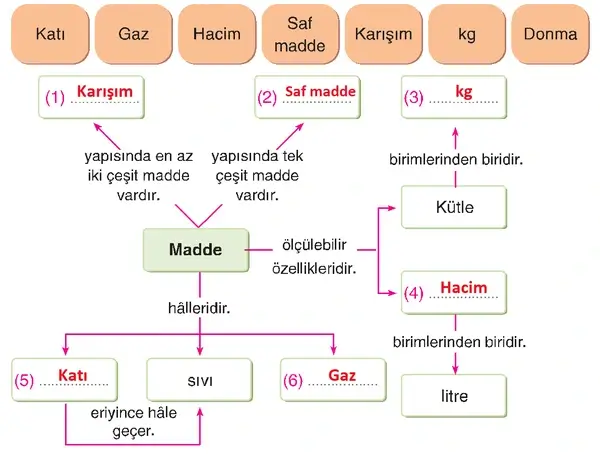 4. Sınıf Fen Bilimleri Ders Kitabı Sayfa 175-176-177-178-179-180-181 Cevapları