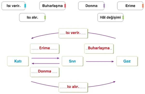 4. Sınıf Fen Bilimleri Ders Kitabı Sayfa 177 Cevapları 4. Sınıf Fen Bilimleri Ders Kitabı Sayfa 177 Cevapları