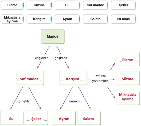 4. Sınıf Fen Bilimleri Ders Kitabı Sayfa 178 Cevapları 4. Sınıf Fen Bilimleri Ders Kitabı Sayfa 178 Cevapları