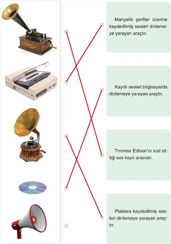 4. Sınıf Fen Bilimleri Ders Kitabı Sayfa 217 Cevapları