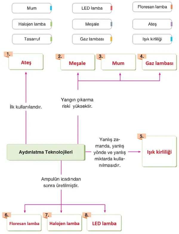 4. Sınıf Fen Bilimleri Ders Kitabı Sayfa 228 Cevapları
