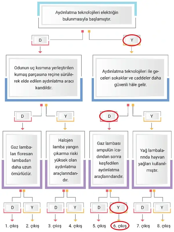 4. Sınıf Fen Bilimleri Ders Kitabı Sayfa 229 Cevapları