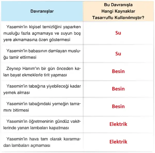 4. Sınıf Fen Bilimleri Ders Kitabı Sayfa 237 Cevapları
