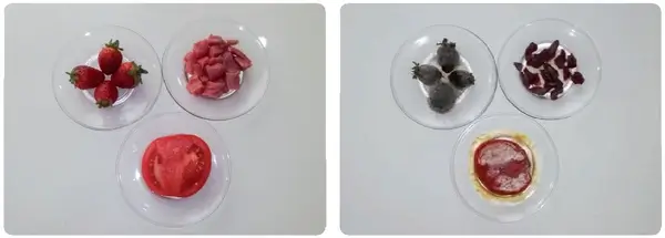 4. Sınıf Fen Bilimleri Ders Kitabı Sayfa 66 Cevapları 4. Sınıf Fen Bilimleri Ders Kitabı Sayfa 66 Cevapları