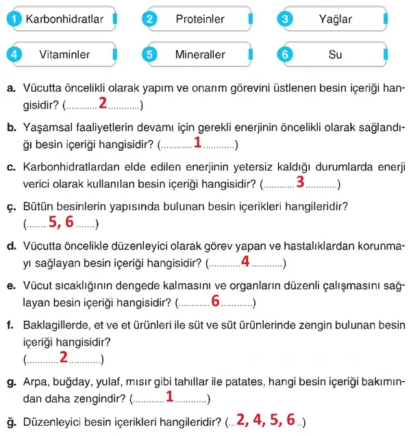 4. Sınıf Fen Bilimleri Ders Kitabı Sayfa 87 Cevapları 4. Sınıf Fen Bilimleri Ders Kitabı Sayfa 87 Cevapları