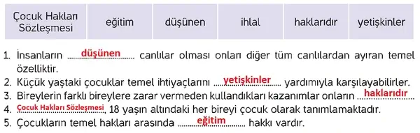4. Sınıf İnsan Hakları Ders Kitabı Sayfa 18 Cevapları