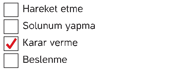 4. Sınıf İnsan Hakları Ders Kitabı Sayfa 19 Cevapları