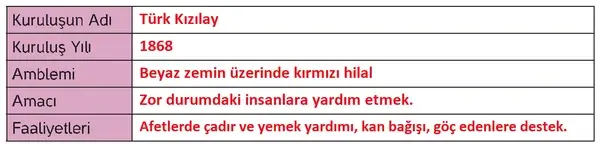 4. Sınıf İnsan Hakları Ders Kitabı Sayfa 91 Cevapları