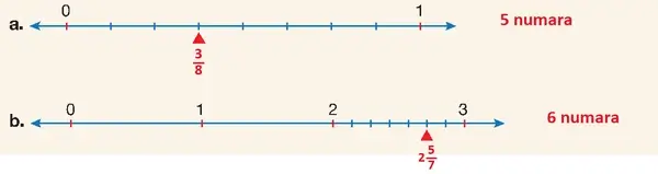 4. Sınıf Matematik Ders Kitabı Sayfa 151 Cevapları Beşgen Yayıncılık