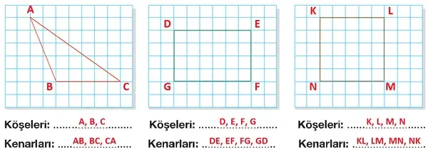 4. Sınıf Matematik Ders Kitabı Sayfa 196 Cevapları