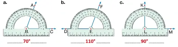 4. Sınıf Matematik Ders Kitabı Sayfa 216-217-218-219 Cevapları