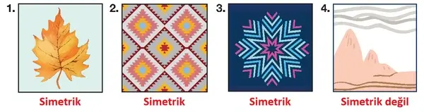 4. Sınıf Matematik Ders Kitabı Sayfa 247 Cevapları