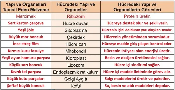 5. Sınıf Fen Bilimleri Ders Kitabı Sayfa 108 Cevapları 5. Sınıf Fen Bilimleri Ders Kitabı Sayfa 108 Cevapları