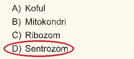 5. Sınıf Fen Bilimleri Ders Kitabı Sayfa 138 Cevapları 5. Sınıf Fen Bilimleri Ders Kitabı Sayfa 138 Cevapları