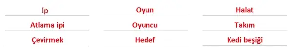 5. Sınıf Türkçe Ders Kitabı Sayfa 38 Cevapları