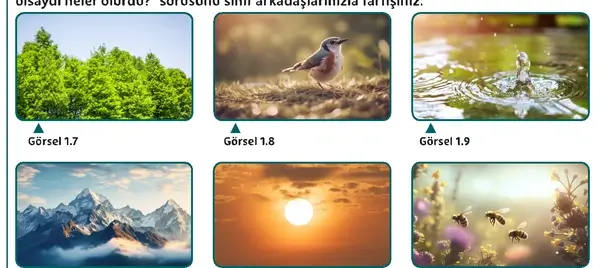 5. Sınıf Din Kültürü Ders Kitabı Sayfa 17 Cevapları 5. Sınıf Din Kültürü Ders Kitabı Sayfa 17 Cevapları