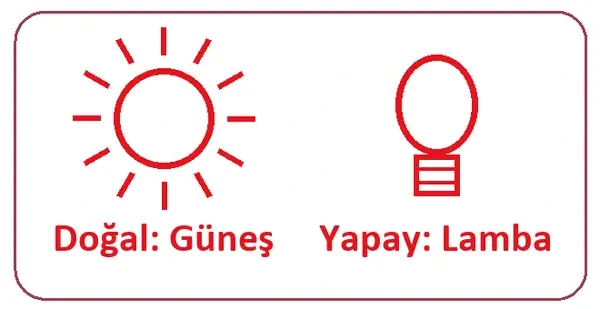 5. Sınıf Fen Bilimleri Ders Kitabı Sayfa 16 Cevapları 2. Kitap