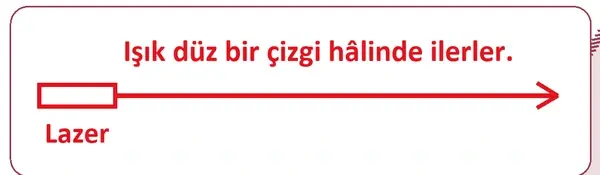 5. Sınıf Fen Bilimleri Ders Kitabı Sayfa 19 Cevapları 2. Kitap