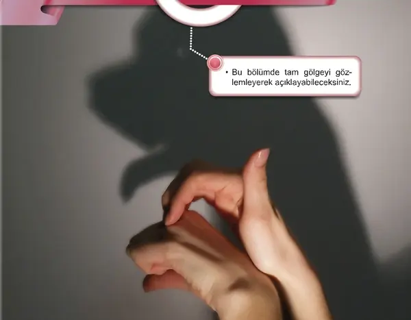 5. Sınıf Fen Bilimleri Ders Kitabı Sayfa 34-35-36-37-38-43 Cevapları 2. Kitap
