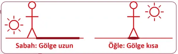 5. Sınıf Fen Bilimleri Ders Kitabı Sayfa 38 Cevapları 2. Kitap 5. Sınıf Fen Bilimleri Ders Kitabı Sayfa 38 Cevapları 2. Kitap