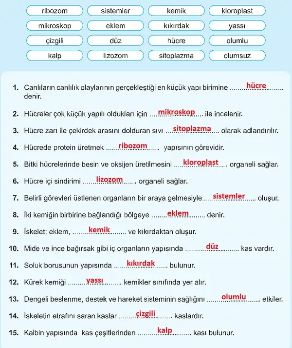 5. Sınıf Fen Bilimleri Ders Kitabı Sayfa 136-137-138 Cevapları 1. Kitap