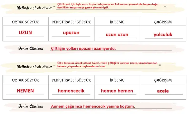 5. Sınıf Türkçe Ders Kitabı Sayfa 106 Cevapları