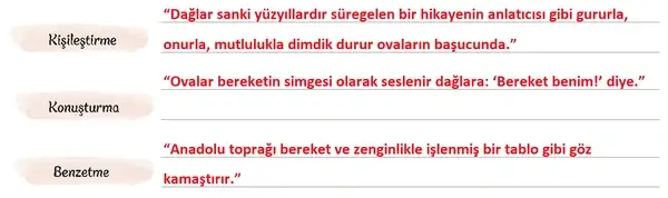 5. Sınıf Türkçe Ders Kitabı Sayfa 146 Cevapları