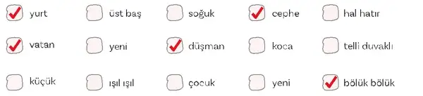 5. Sınıf Türkçe Ders Kitabı Sayfa 80-81-82-83. Cevapları 1. Kitap