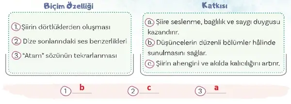 5. Sınıf Türkçe Ders Kitabı Sayfa 95 Cevapları