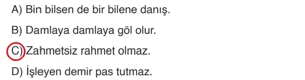 6. Sınıf Din Kültürü Ders Kitabı Sayfa 174 Cevapları MEB Yayınları 6. Sınıf Din Kültürü Ders Kitabı Sayfa 174 Cevapları MEB Yayınları