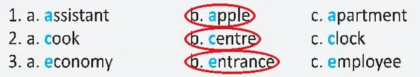 6. Sınıf İngilizce Ders Kitabı Sayfa 73 Cevapları MEB Yayınları